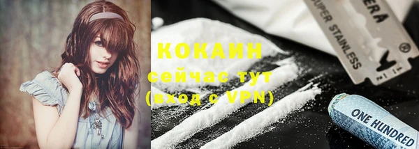 прущие грибы Вязники