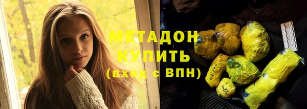 гидра Вязьма