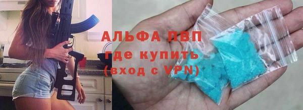 гидра Вязьма