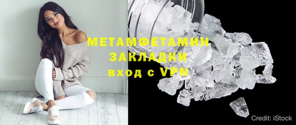 прущие грибы Вязники