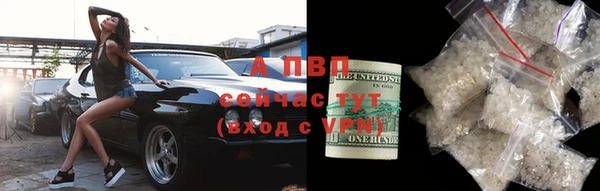 гидра Вязьма