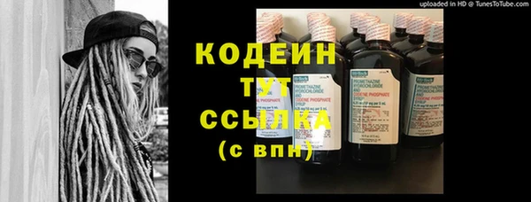 прущие грибы Вязники