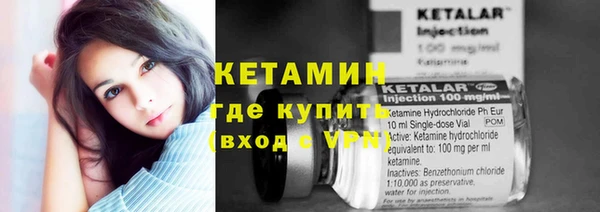 прущие грибы Вязники