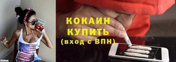 гидра Вязьма