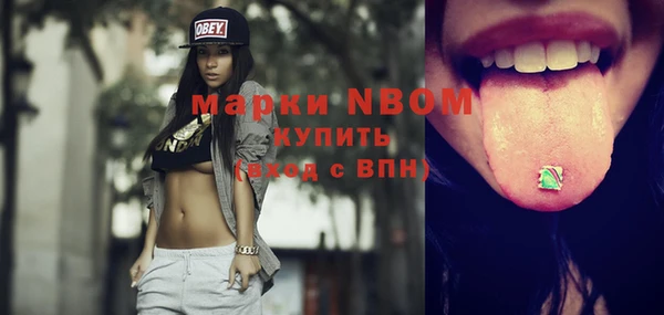 гидра Вязьма