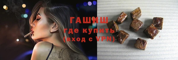 гидра Вязьма