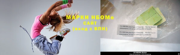 прущие грибы Вязники