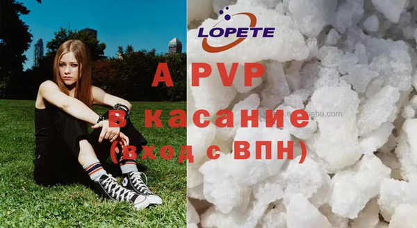 Альфа ПВП Горняк