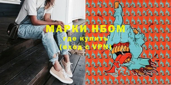 гидра Вязьма