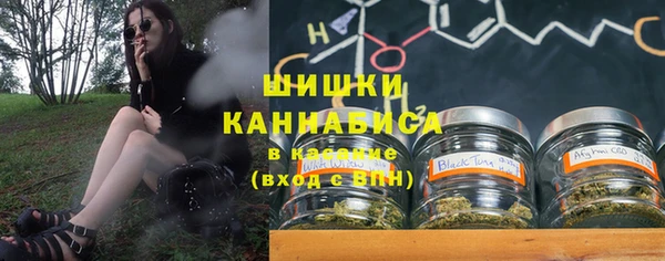 прущие грибы Вязники