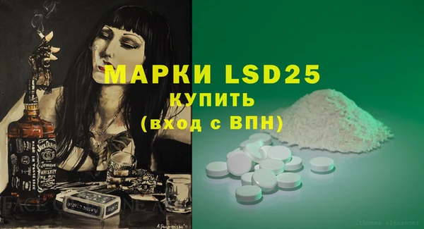 гидра Вязьма
